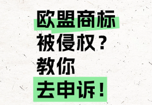 欧盟商标被侵权怎么办？手把手教你如何应对