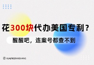 花300块代办美国专利？醒醒吧，连案号都查不到！