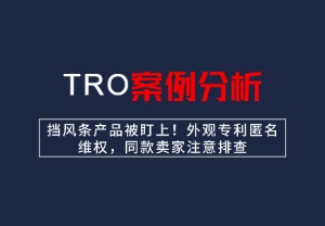挡风条产品被盯上！外观专利匿名维权，同款卖家注意排